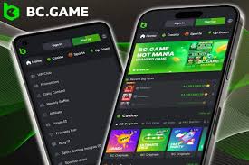 BC.Game Online Casino A New Era of Online Gaming in Pakistan
