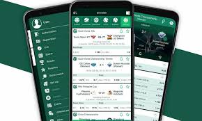 Your Ultimate BetWinner Bonus Guide